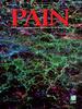 PAIN Online