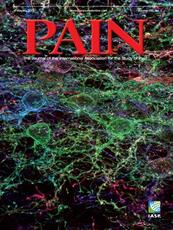 PAIN Online