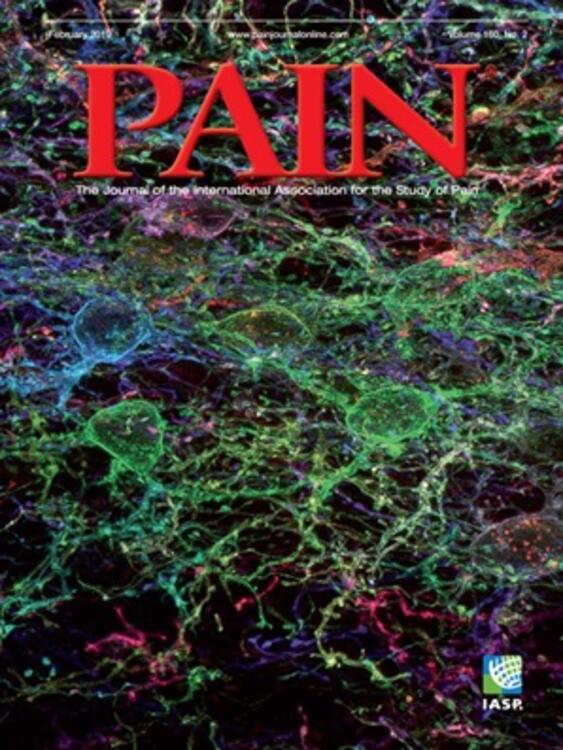 PAIN Online