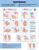 Hand Hygiene