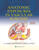 Anatomic Exposures in Vascular Surgery