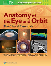 Anatomy of the Eye and Orbit