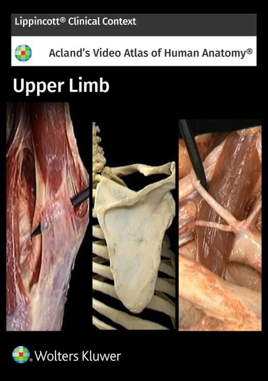 Acland's Anatomy: Upper Limb