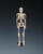 Mr. Thrifty Skeleton