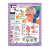 Blueprint for Health Your Taste and Smell Chart