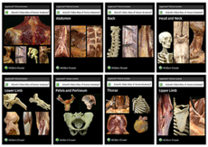 Acland’s Video Atlas of Human Anatomy Collection