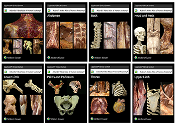 Acland’s Video Atlas of Human Anatomy Collection