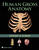 Human Gross Anatomy