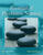 Not Sold Separately POD for CP Boyd: Essentials of Psychiatric