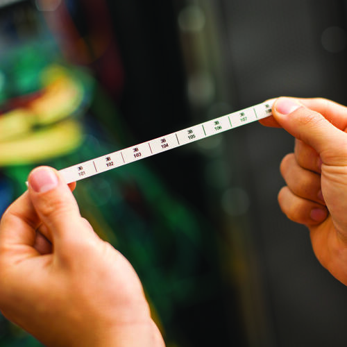 Brother PT-E550WVP Advanced Industrial Handheld Labeller with Wireless and Computer (USB) Connectivity