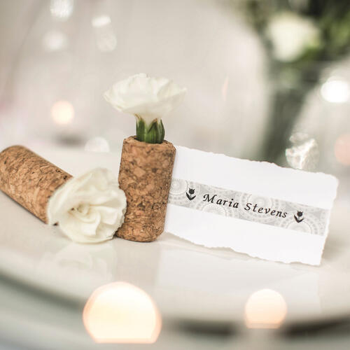 Brother TZEMPSL31 Ruban décoratif à motif pour P-touch