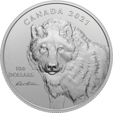 $100 Pure Silver Coin - &quot;Wolf Sketch&quot; by Robert Bateman (2021)