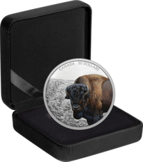 Pièce de 30 $ en argent pur - Prestance faunique : Bison (2021)