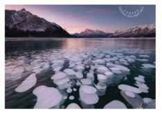 Terre de nos aïeux (2020) : Carte postale port payé – Abraham Lake (AB)