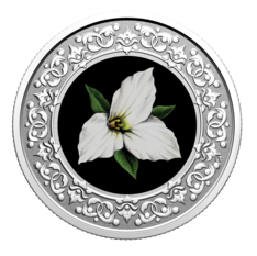 Pièce de 3 $ en argent - Emblèmes floraux du Canada - Ontario : Trillium blanc (2020)