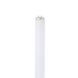 Feit Electric 40 W T12 1.4 in. D X 48 in. L Fluorescent Bulb Cool White Linear 4100 K 2 pk