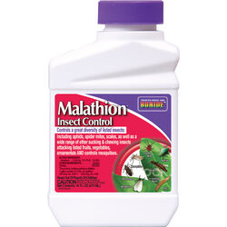 Bonide Malathion Liquid Concentrate Insect Killer 16 oz