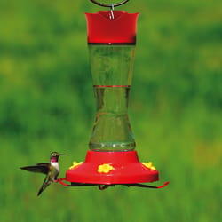 Perky-Pet Hummingbird 16 oz Glass Nectar Feeder 4 ports