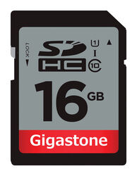 Gigastone SD Flash Memory Card 1 pk