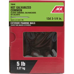 Ace 12D 3-1/4 in. Common Hot-Dipped Galvanized Steel Nail Flat 5 lb