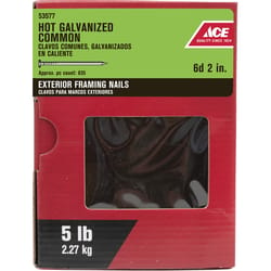Ace 6D 2 in. Common Hot-Dipped Galvanized Steel Nail Flat 5 lb