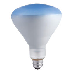 Philips Agro-Lite 120 W BR40 Specialty Incandescent Bulb E26 (Medium) Bright White 1 pk