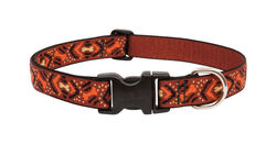 Lupine Pet Original Designs Multicolor Down Under Nylon Dog Adjustable Collar