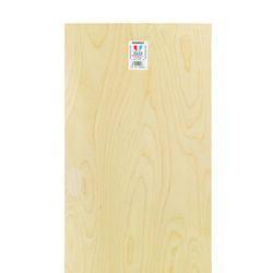 Midwest Products 12 in. W X 24 in. L X 1/8 in. T Plywood