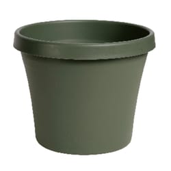 Bloem Terrapot 7 in. H X 8 in. D Resin Traditional Planter Thyme Green