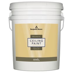 Benjamin Moore Waterborne Ceiling Paint Flat White Base 1 Ceiling Paint Interior 5 gal