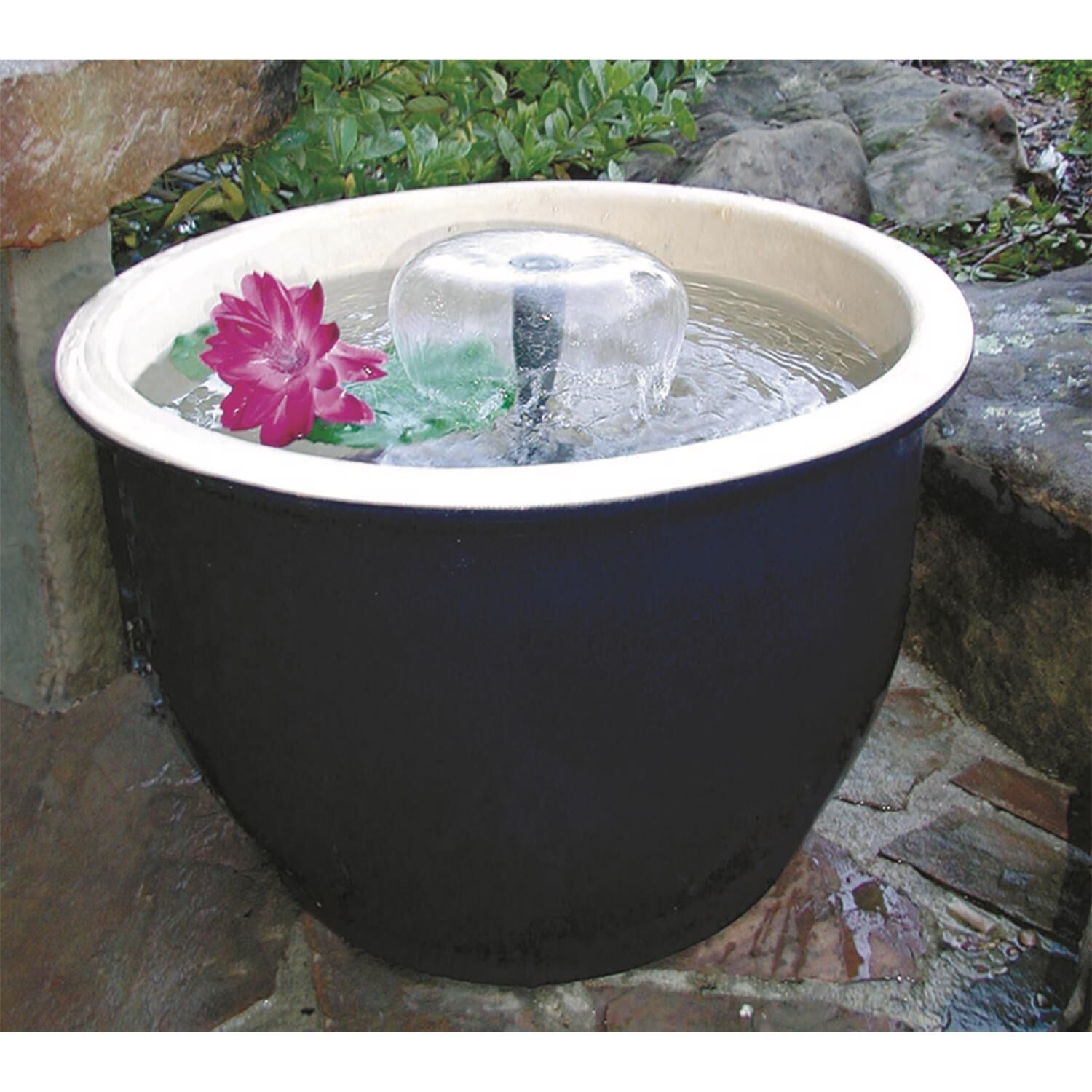 image-2