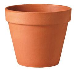 Deroma 13.6 in. H X 16 in. D Clay Traditional Planter Terracotta