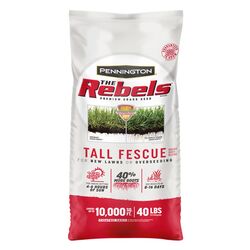 Pennington The Rebels Tall Fescue Sun/Shade Grass Seed 40 lb