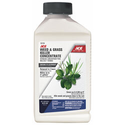 Ace Grass & Weed Killer Concentrate 32 oz