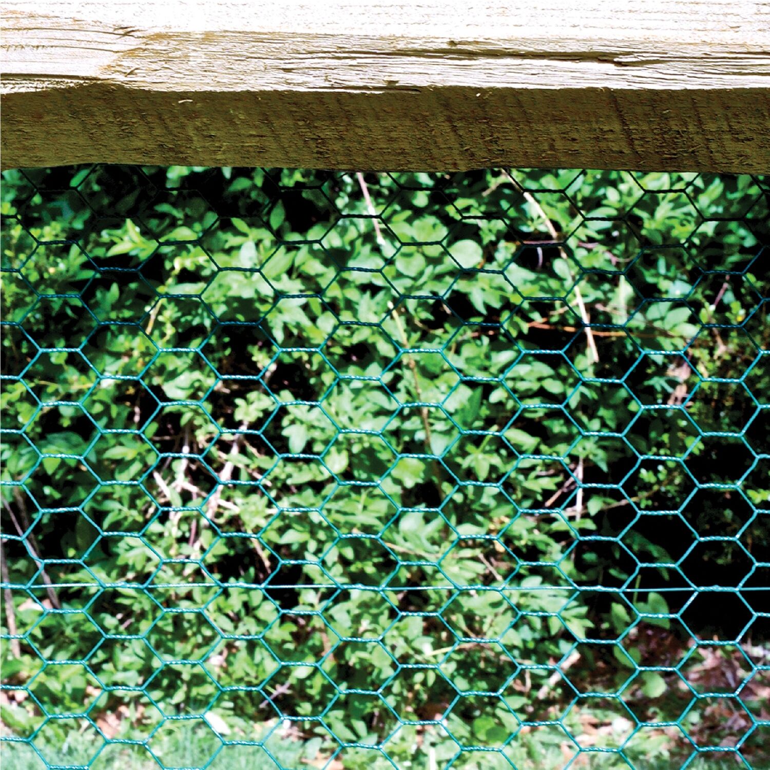 image-4