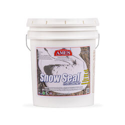 Ames Smooth Snow Acrylic Latex Roof Coating 5 gal