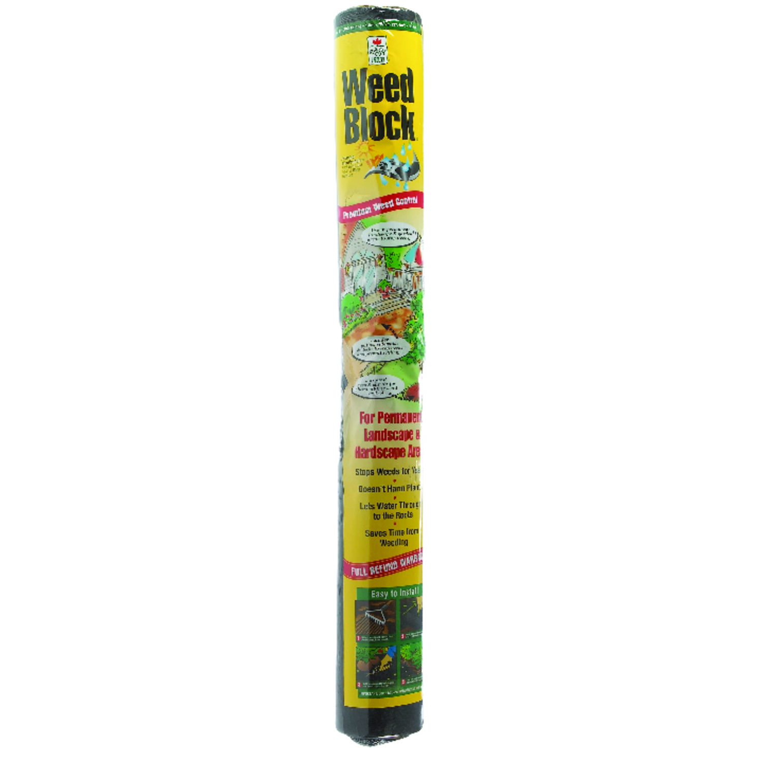 image-1