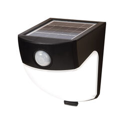 All-Pro Motion-Sensing 120 deg LED Black Outdoor Floodlight Solar Powered