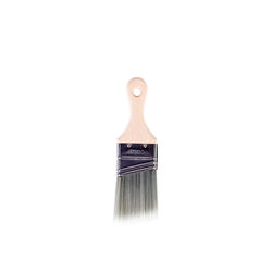 Wooster Silver Tip 2 in. W Angle Paint Brush