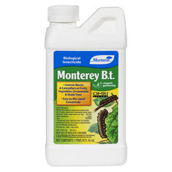 Monterey B.t. Organic Liquid Concentrate Insect Killer 1 pt