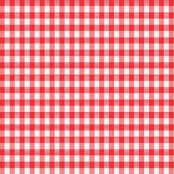 Magic Cover Red/White Checkered Vinyl Disposable Tablecloth 70 in. 52 in.
