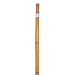 Bond 6 ft. H X 1 in. W Brown Bamboo Plant Stake