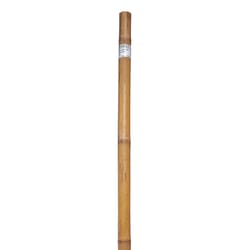 Bond 6 ft. H X 1 in. W Brown Bamboo Plant Stake