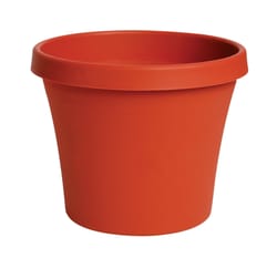 Bloem Terra 10.7 in. H X 12 in. D Resin Traditional Planter Terracotta Clay