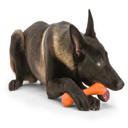 West Paw Zogoflex Orange Hurley Bone Synthetic Rubber Chew Dog Toy Large in.
