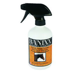 Banixx Liquid Anti-bacterial Anti-fungal Solution For All Animals 1 pt