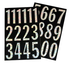 Hy-Ko 3 in. Silver Vinyl Self-Adhesive Number Set 0-9 1 pc