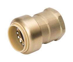 BK Products ProLine 1/2 in. Push T X 3/4 in. D FPT Brass Adapter