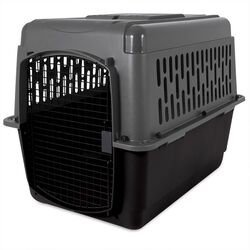 Aspen Pet Plastic Pet Kennel Multicolored 27 in. H X 25 in. W X 36 in. D