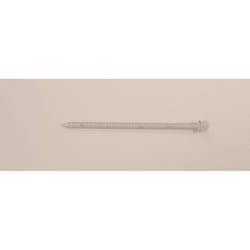Maze Nails 8D 2-1/2 in. Trim Stainless Steel Nail Flat 1 lb